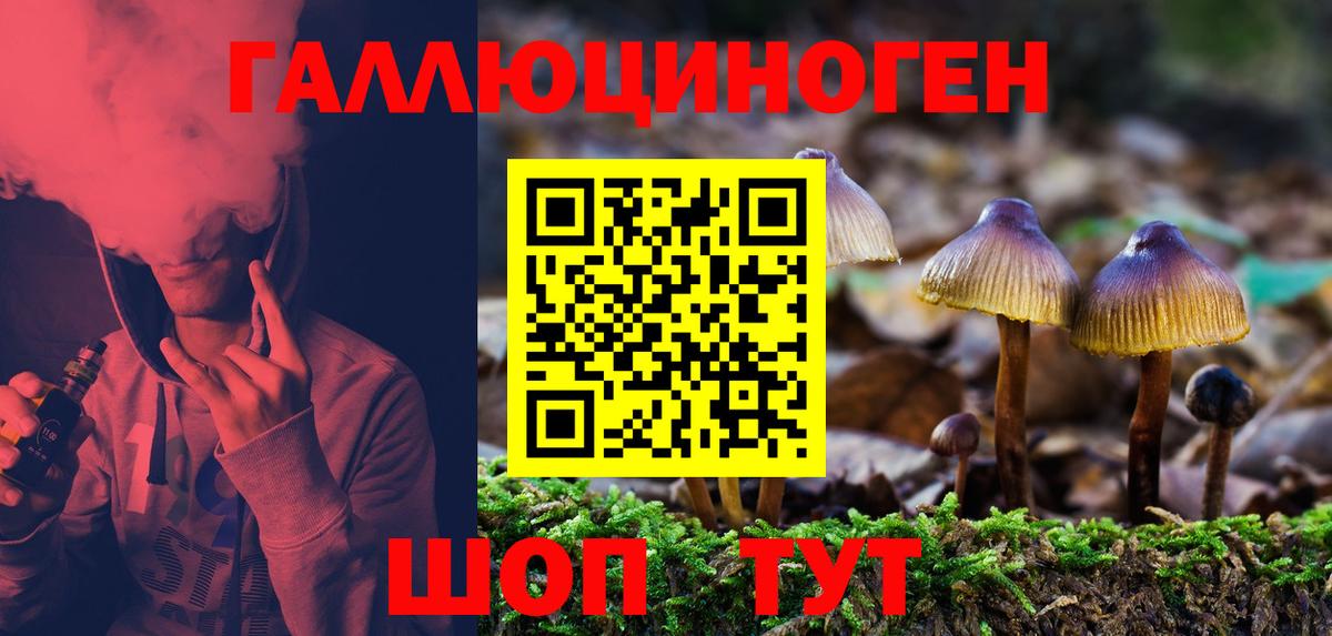 что такое   Псилоцибиновые грибы ЛСД  Вход с VPN  Миасс 